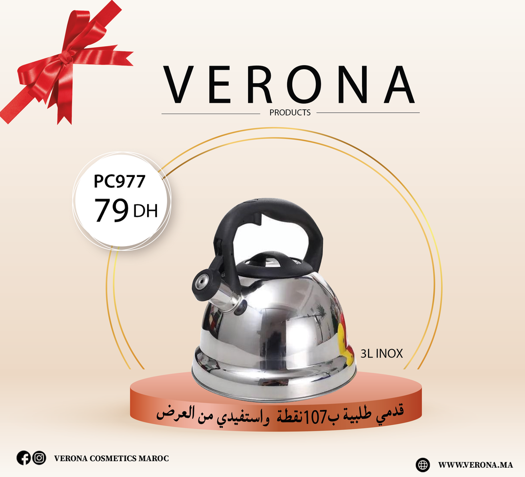 [PC977] Sur une commande de 107 points Bouilloire INOX 3L a 79DH